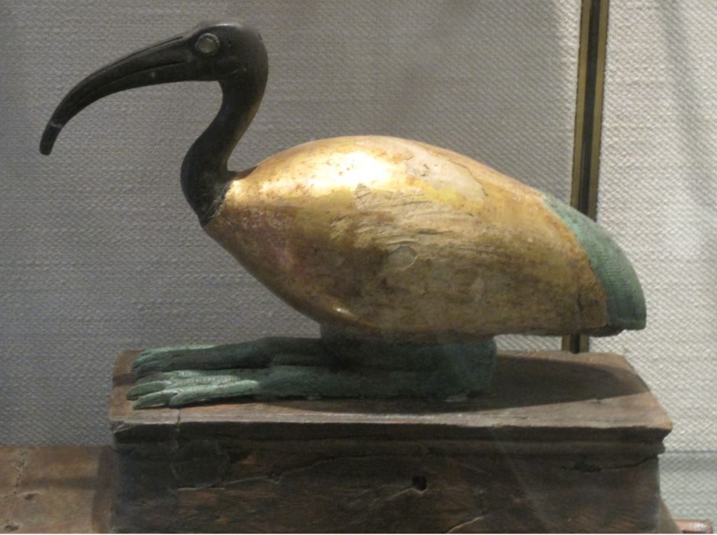 egyptian god thoth ibis